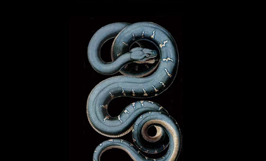 Unearthing the Gothic Genius of Paul Roland: Lair of the White Worm Rises Again